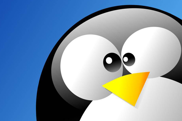 Linux-endway